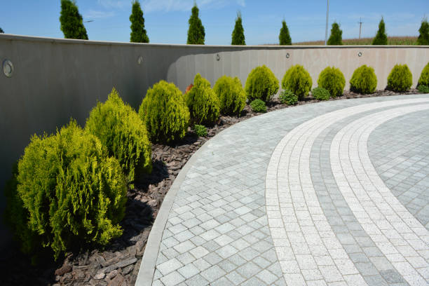 Best Concrete Paver Driveway  in Hopkinsville, KY